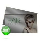 Cartão de Visita | Silver Lux 4x0 500 unidades